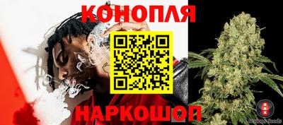 spice Бузулук