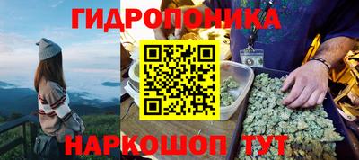 spice Бузулук