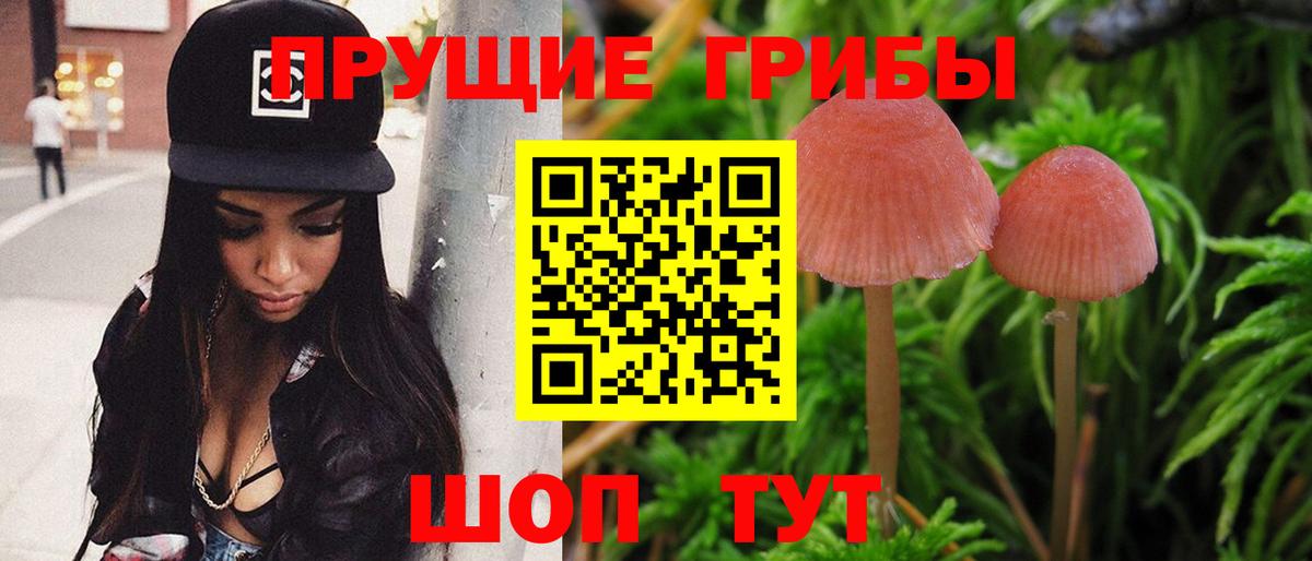 Галлюциногенные грибы MAGIC MUSHROOMS Коряжма