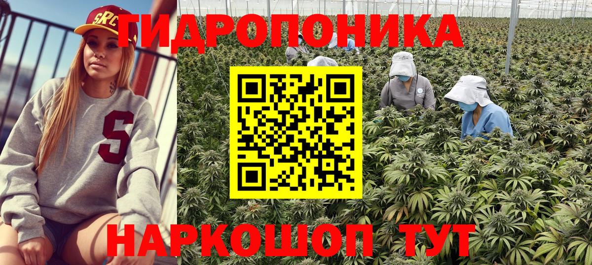 Коряжма  Марихуана сатива  МАРИХУАНА Amnesia  Вход с VPN 